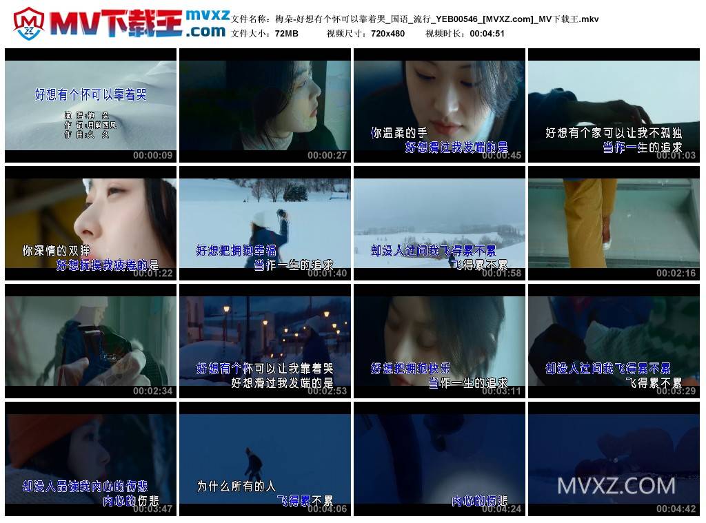 梅朵-好想有个怀可以靠着哭_国语_流行_YEB00546